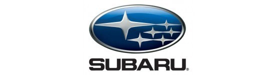 Subaru 2.5 STI CR 8.0